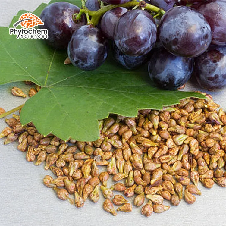 health & supplement kosher chardonay seeds extract cold grape seed oil extraction machine
