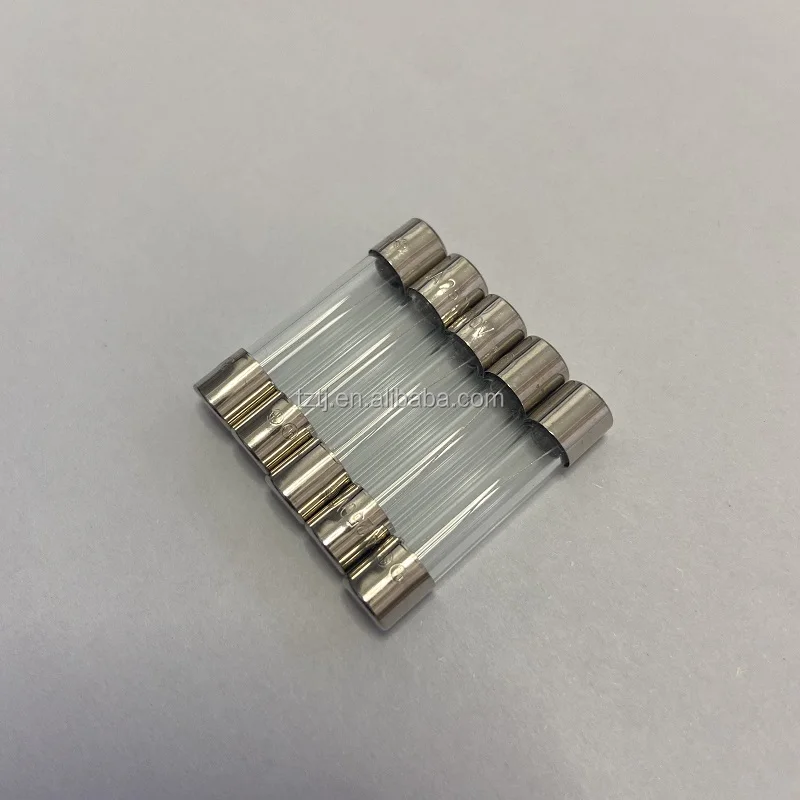 Harman Control Board Fuse 5amp glass fuse