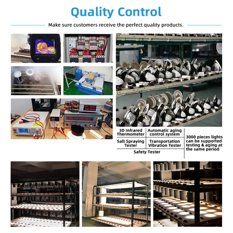 RONSE Adjustable indoor spot light dimmable ceiling light 10W 15W 24W 30W 40W 50W COB LED Wall Washer Downlight