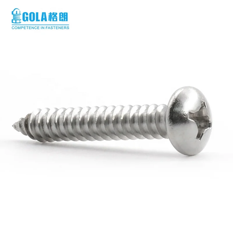 Metal Building Material Din7981Stainless Steel Pan Head Phillips Self Tapping Screw