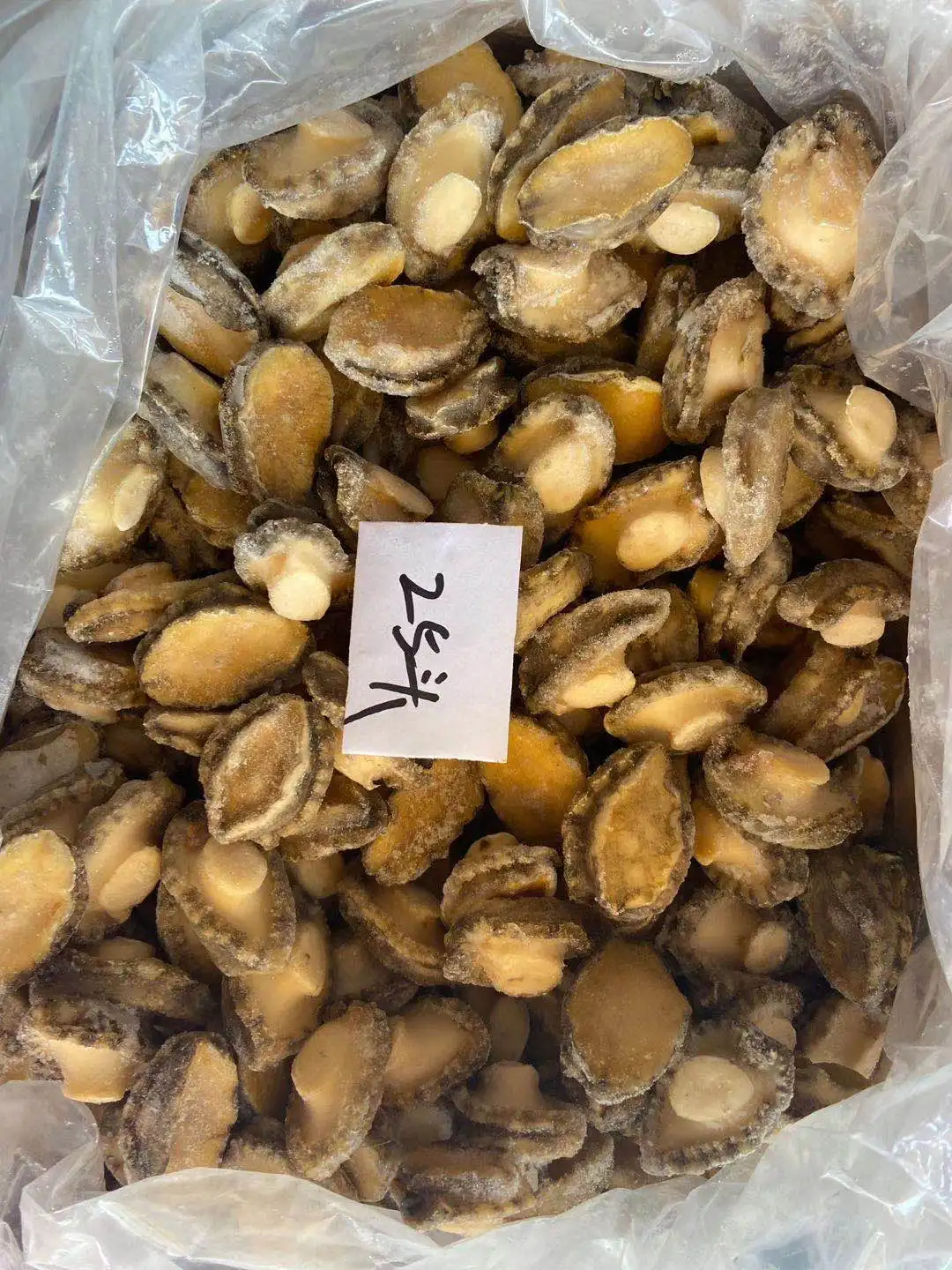 abalone abalone meat  Haliotis abalone without shell