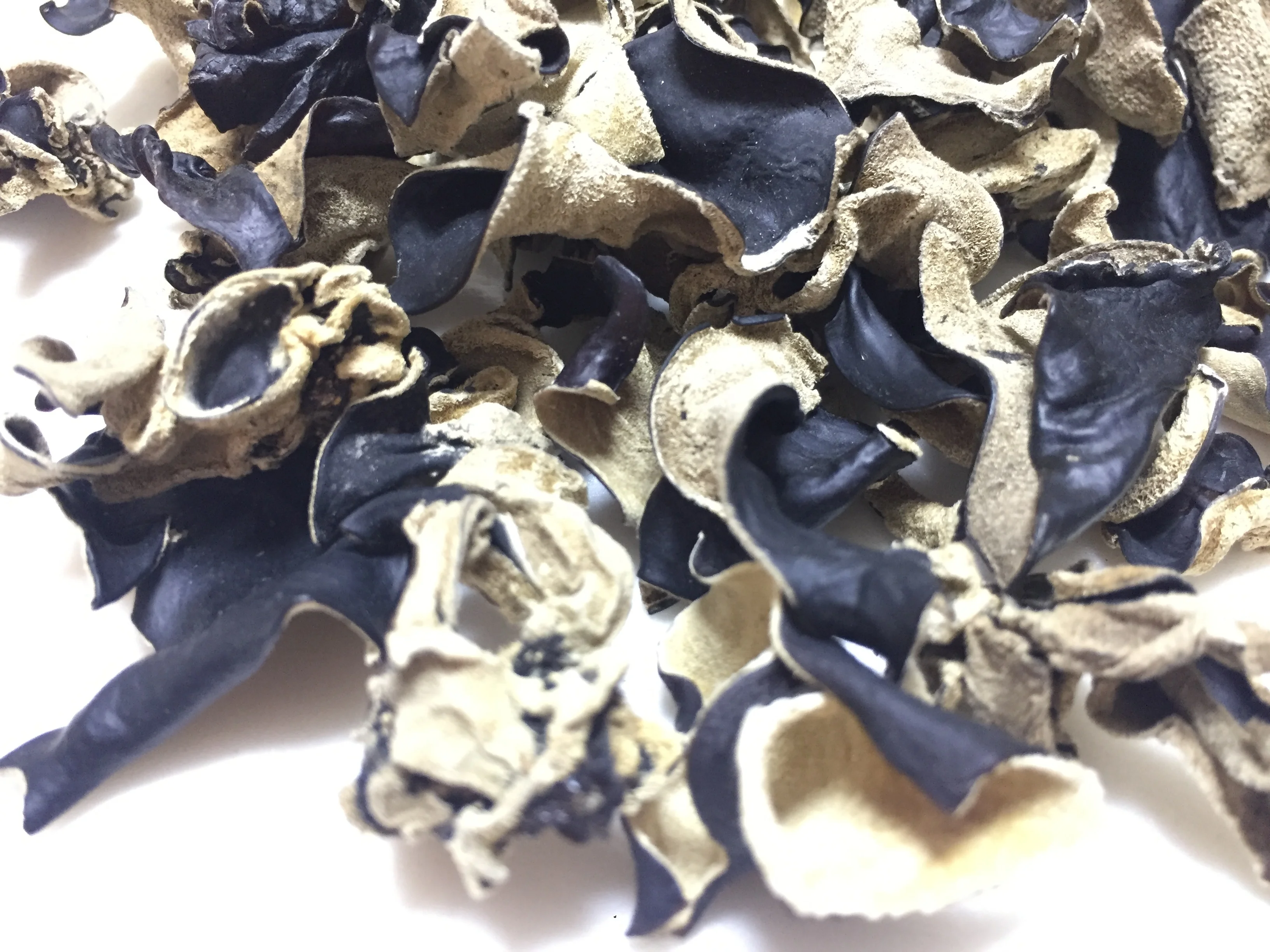 Factory Price Premium Quality Washed Dry Black Fungus Mushroom and White Back Fungus (Within 5 CM )