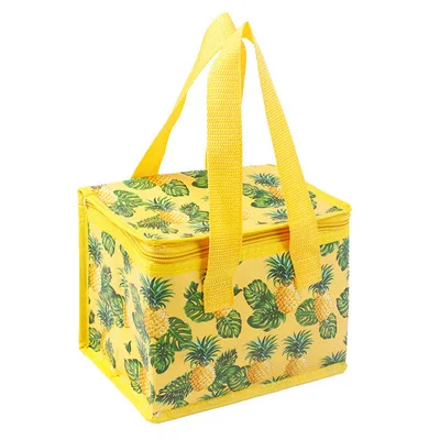 Eco-friendly Thermal Food Bag, Custom Logo Thermal Food Bag, Thermal Food Bag