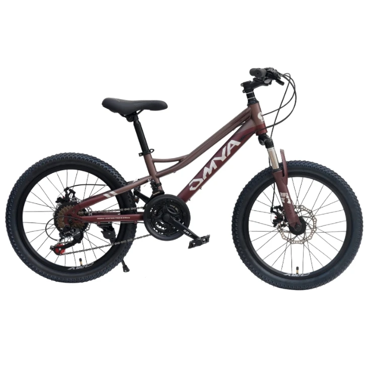 Magnesium alloy auxiliary steel Kids Bicycle for 4 years old children