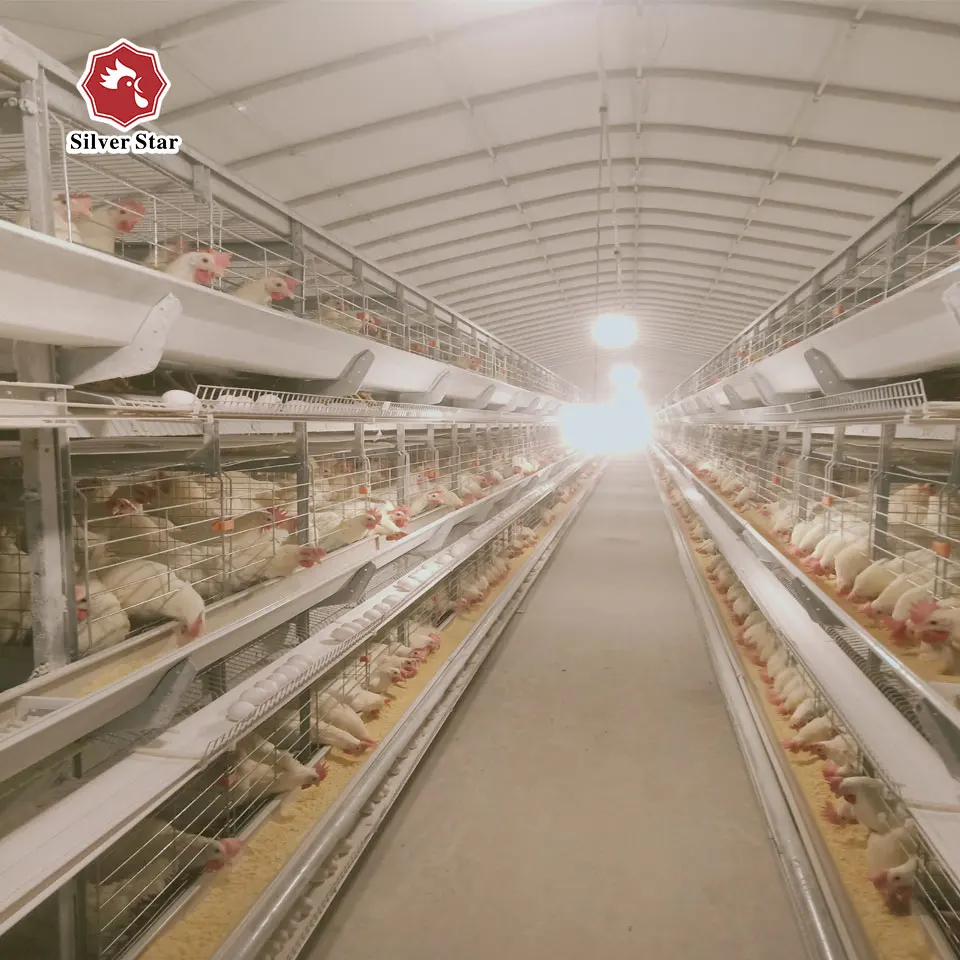 Factory directly sale H type layer chickens poultry husbandry equipment battery cages