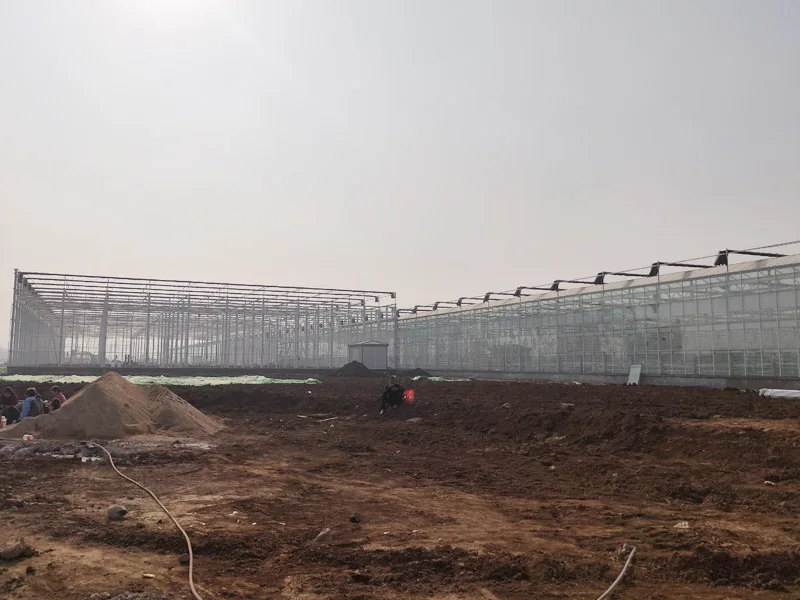 Large High Wind Snow Load Greenhouse Glass Agricultural Greehouses With Hydroponic System