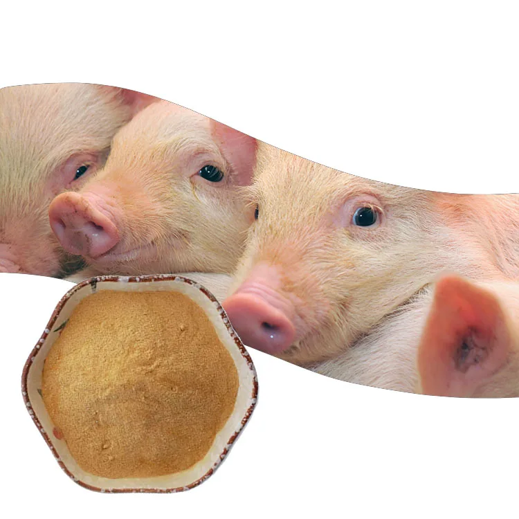 5000U/g Amylase Improve Animal Production Performance Feed Additives Enzyme