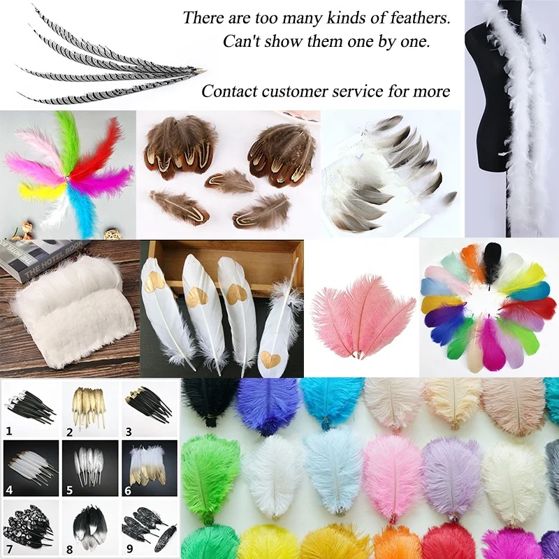 Long Tassel Peacock Feather New Peacock Feather Hand Fan Dancing Bridal Party Peacock Feathers Long for Wedding Centerpieces