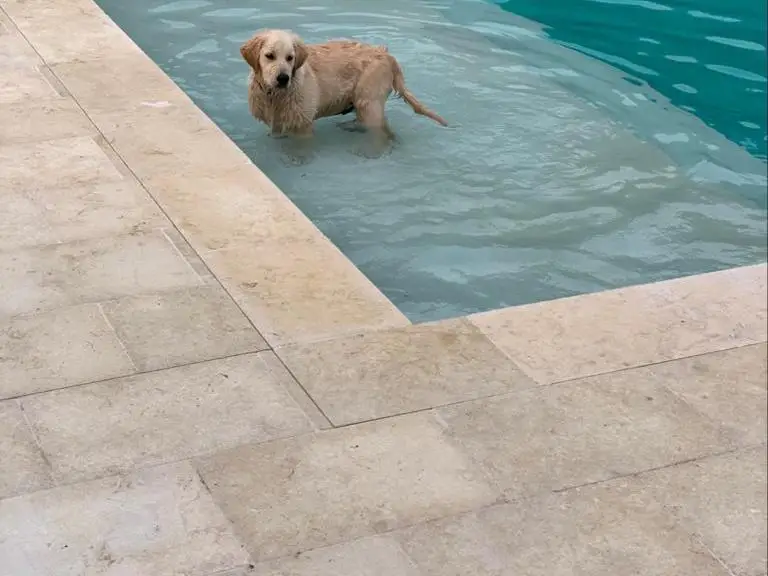 SHIHUI Outdoor Henan Beige Limestone Exterior Wall Tiles Decor Limestone For Villa Decoration And Floor Decorative Material