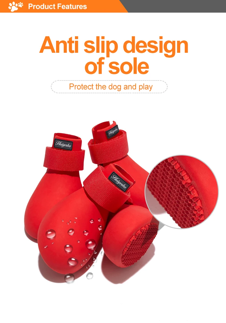 06Rain dog shoe.jpg
