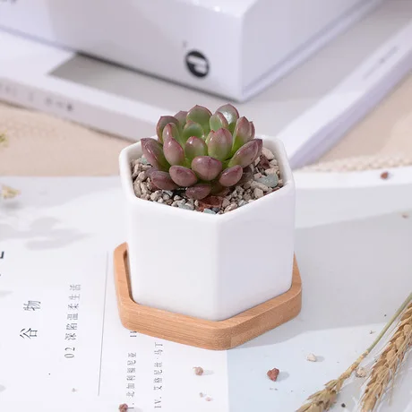 Шестигранные маленькие белые горшки для суккулентов с бамбуковым лотком, геометрический контейнер-держатель для растений С КАКТУСОМ