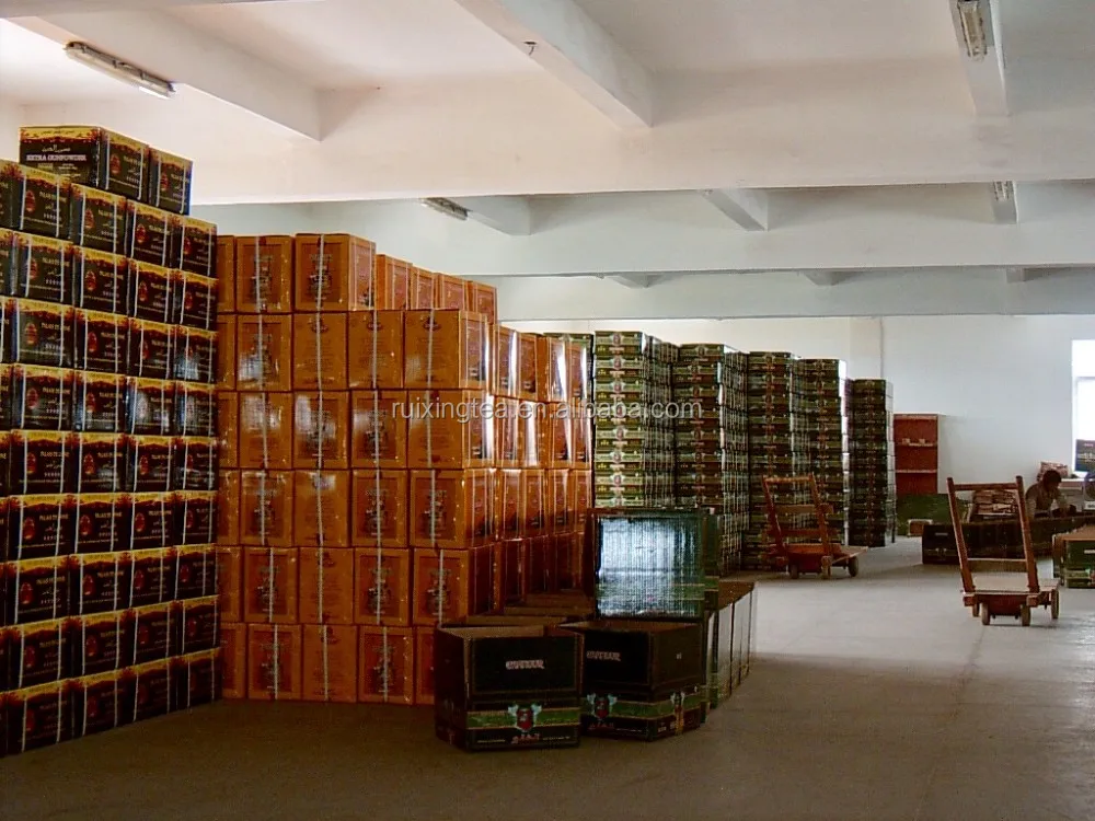 European Standard gunpowder green tea 3505 AA  from tea factory