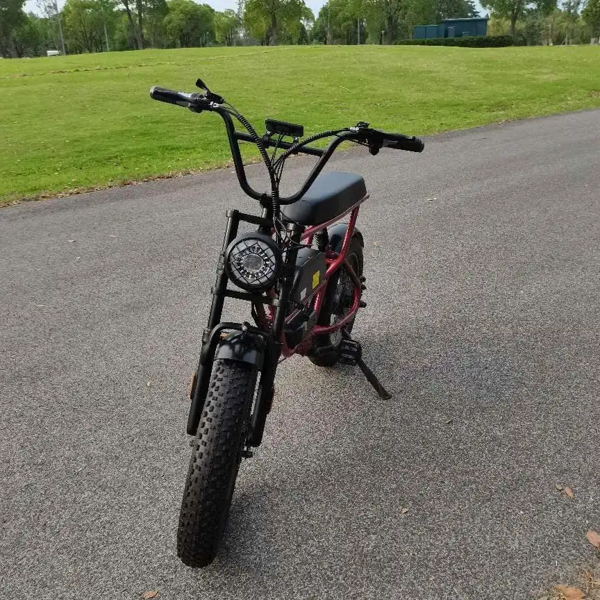 Новый продукт Леопард Ebike 27 5