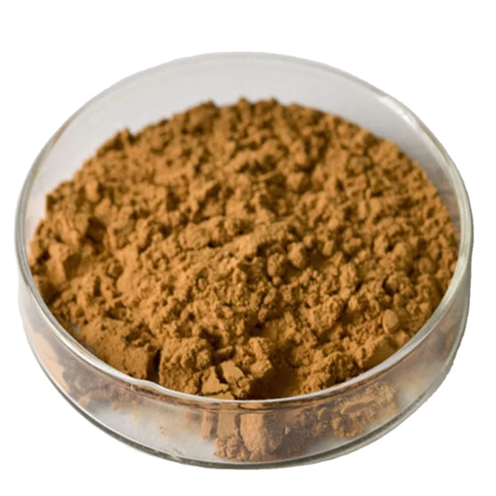 High Quality 1% Cistanche Tubulosa Extract 16% Acteoside CAS 61276-17-3