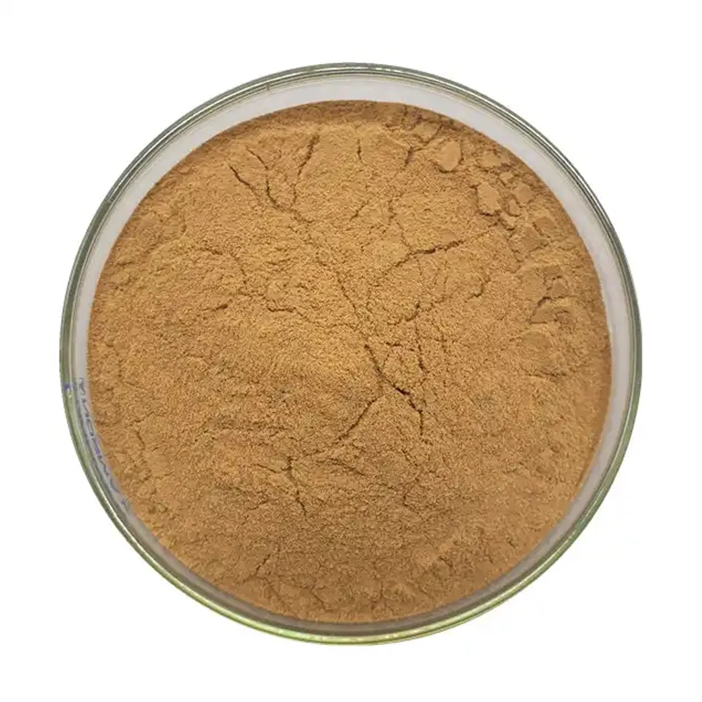 High Quality Polysaccharide 30% Oyster Mushroom Extract