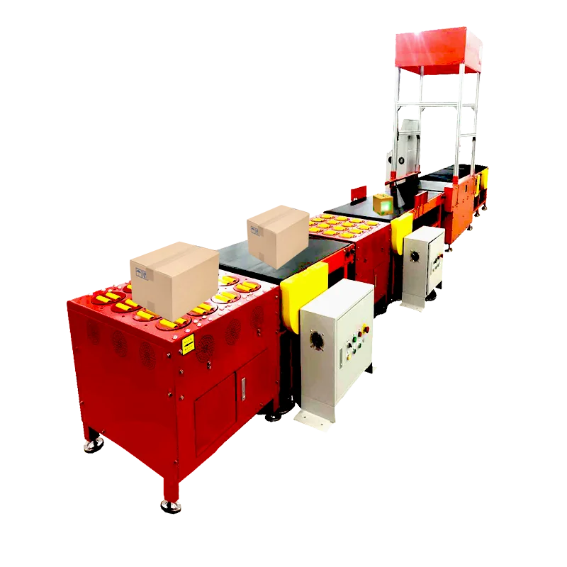 Система автоматического сканирования взвешивания посылок Senad DWS сортировочная машина для Логистического Склада и