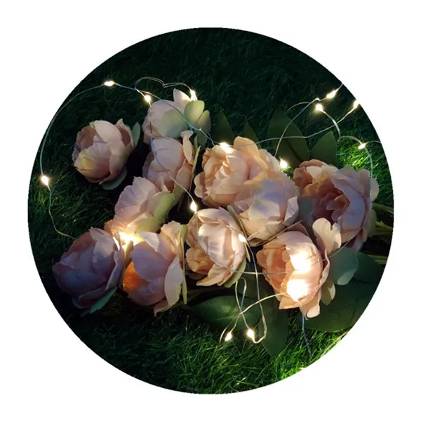 
Wedding party Christmas lights decoration 1M10LED warm white fairy light string decoration light box 