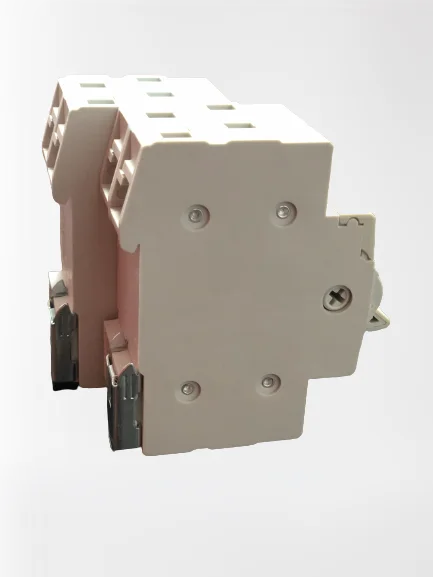 SF219G 2P 40A Din Rail Mounted Dual Power Conversion Isolation Switch MTS Manual Transfer Switch Changeover Switch 63A 80A