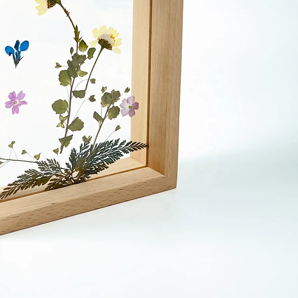 Creative Transparent Wooden Double-Sided Glass Display Photo Frame Three-Dimensional Plant Specimen Picture Box Wood Frames