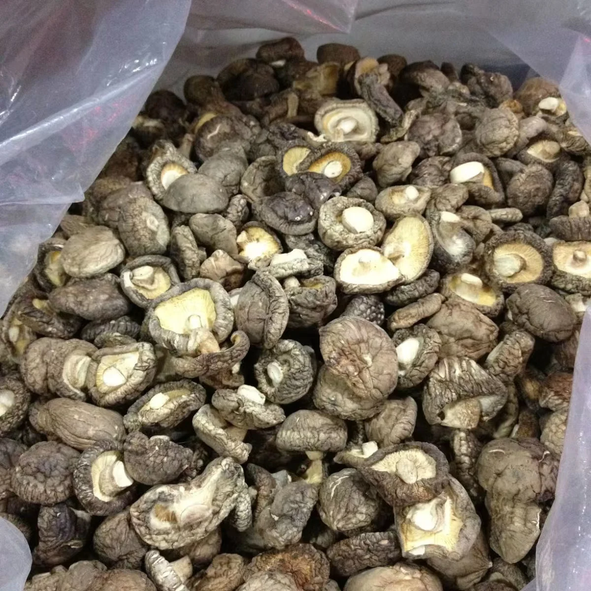 Healthy Food Dry Vegetables Bulk Dried Shiitake Mushroom
