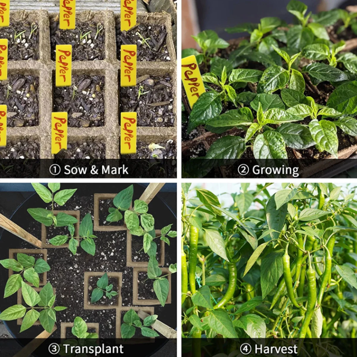 12 Cells Reusable Silicone Agricultural Vegetables Plant Seeding Growing Starter Nursery Kit Trays Planting