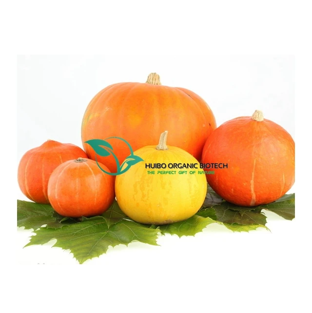 Wholesale Kelp powder with best price / sea weed powder