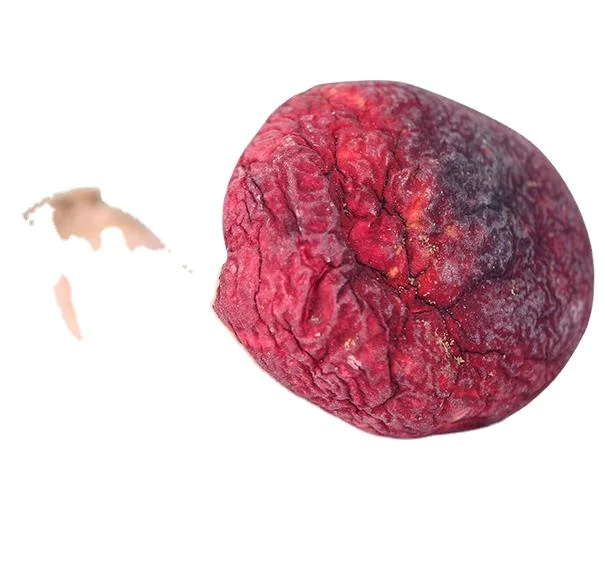 
Dried whole for food fungus Russula vinosa Lindblad 