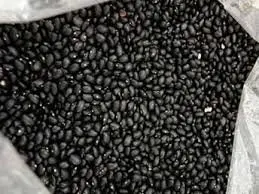 
Fresh High Quality Black Kidney Beans 