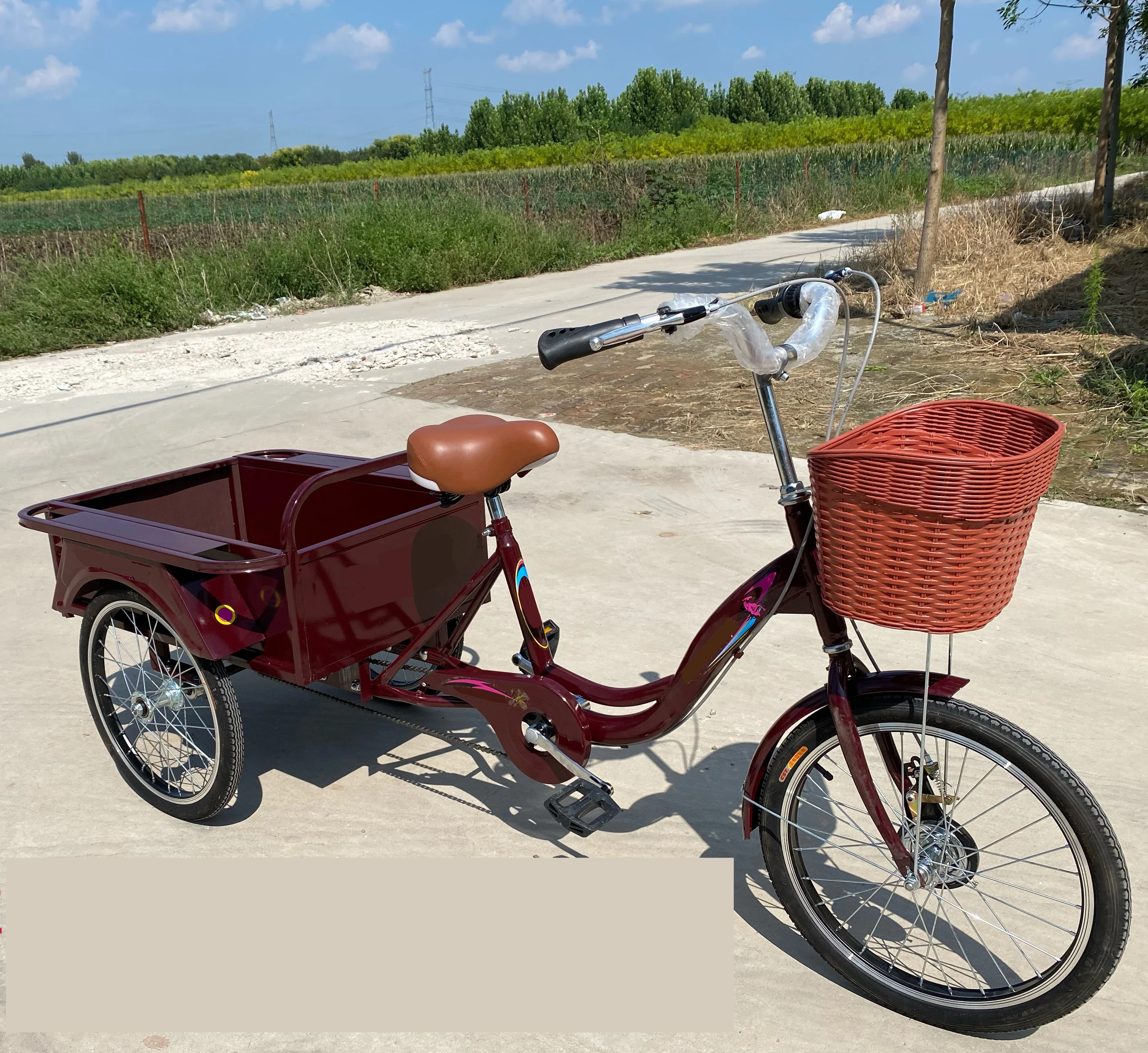 High Quality 3 Wheel Bike The Latest Style Direct Sales Pedal Other Tricycles Electric Bicycle Tricycle