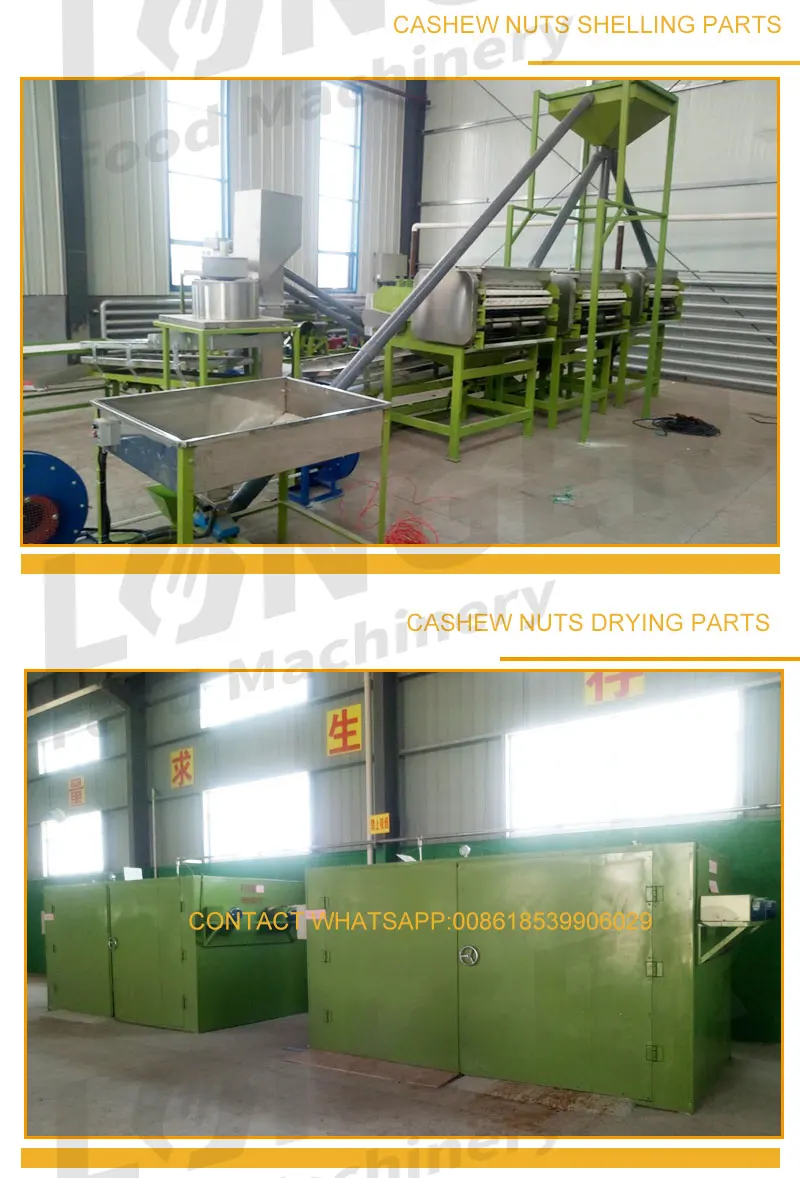 
Automatic Unit Nigeria Cashew Nuts Shelling and Processing Machine Thailand 