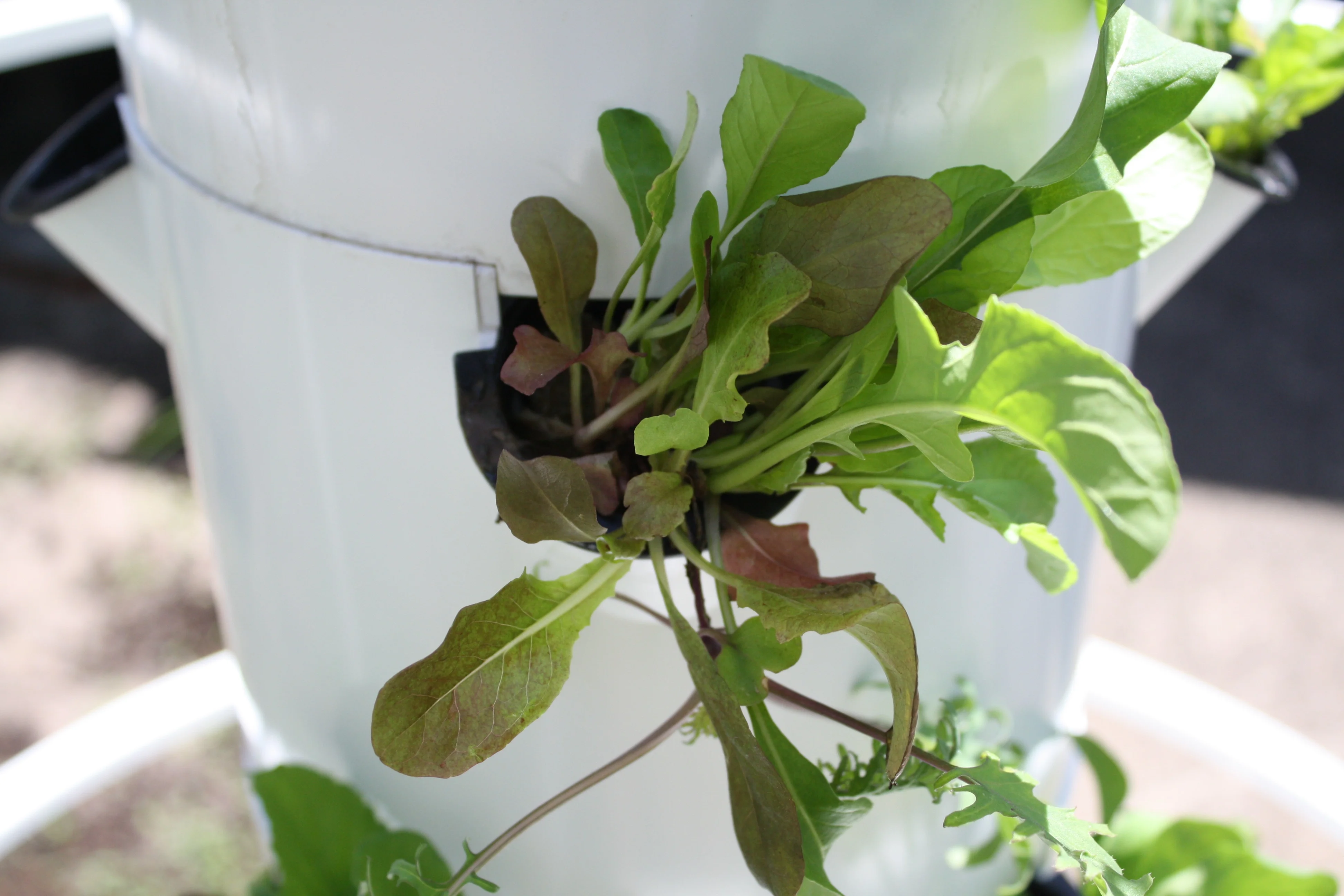 Hydroponic Greenhouse Indoor Plant Vertical Tower hydroponics tower for plant grow vegetable grow