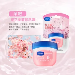 Plant Lip Balm Moisturizing Lipsticks Base Cute Makeup Anti-cracking Lip Oil Korean Cosmetics Skin Care Natural Original Female