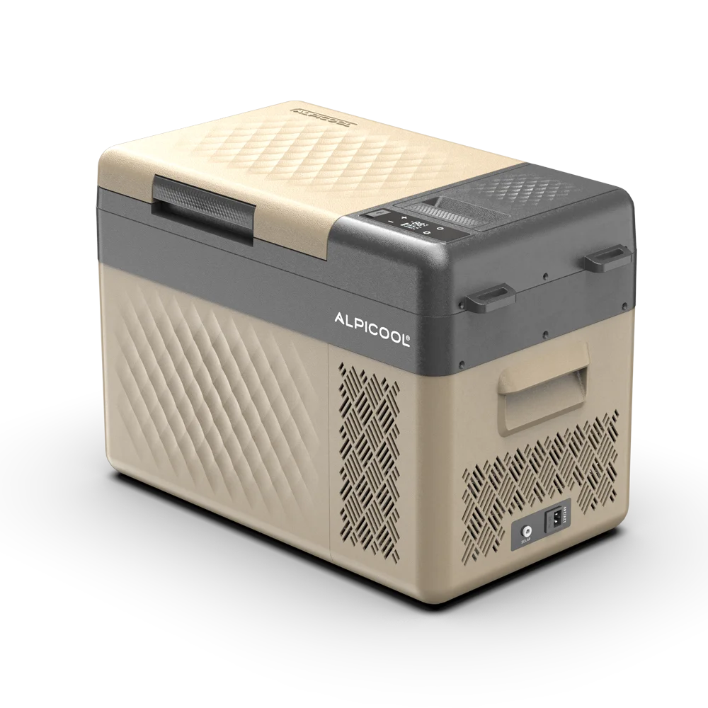 RT20 Hot sales 20l mini size car fridge 110v 12v 24v refrigerator and freezer with free customized packing