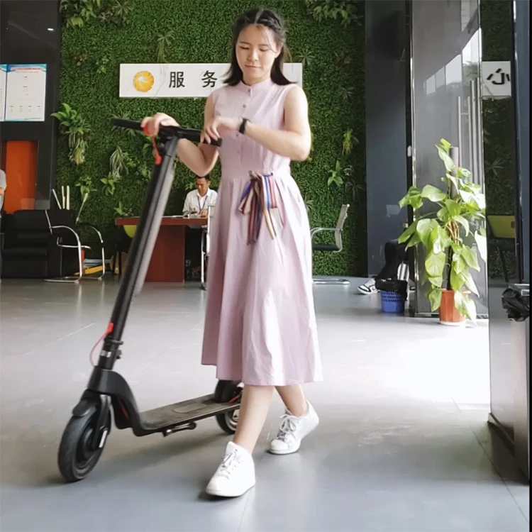 
X8 E scooter Removable Power Battery Electric Scooter 350W 2 Wheel Adult Folding Electric Scooters 