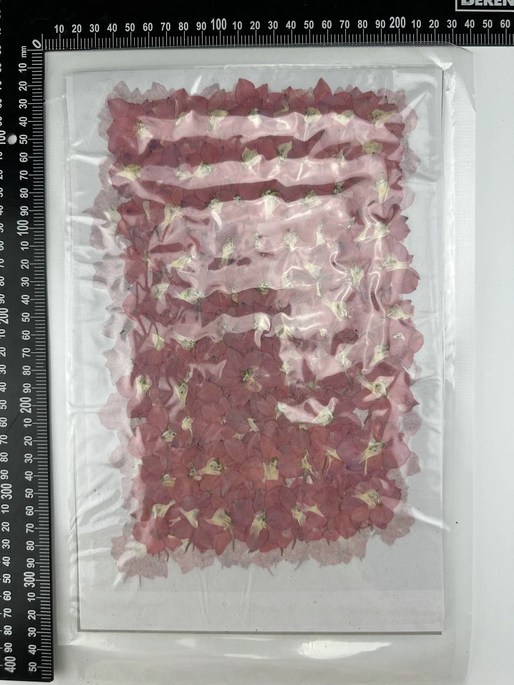 12pcs/bag Larkspur Single Petal DIY Candle Soap Making Natural Plant Eco-friendly Dried Pressed Flower