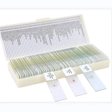 60pcs Microscope Slides for Kids and Adults with botany prepared slides and animal slides for medical science