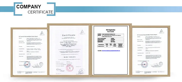 aneasthesia endoscope