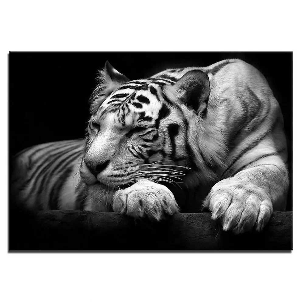 White And Black Color Tiger Poster Painting Print Office Hotel Wall Decoration Canvas Wall Art With Hook