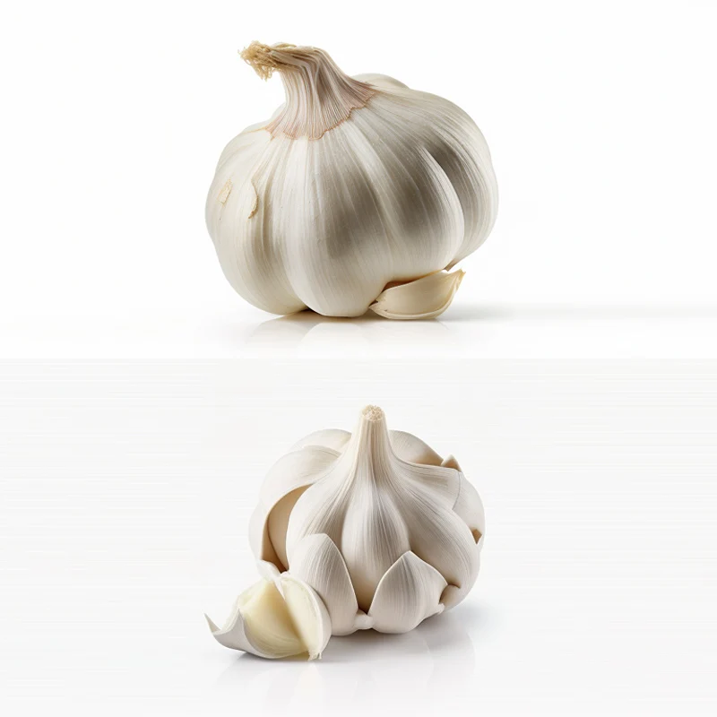 bawang putih jin xiang fresh pure white garlic best quality 2023 newest crop small package snow white fresh garlic supplier