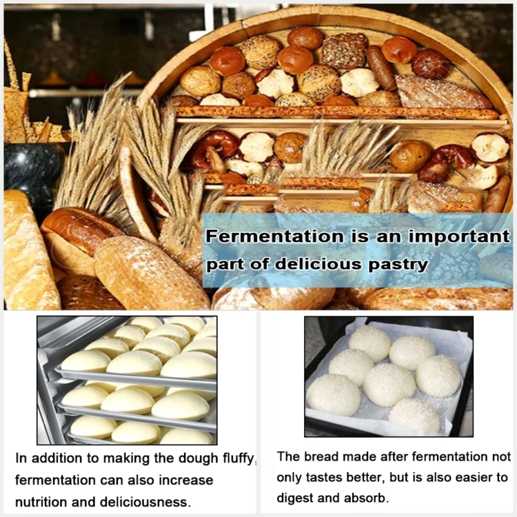 Commercial Electric machine bakery fermenting bread dough 32 Trays Auto Spray Proofer