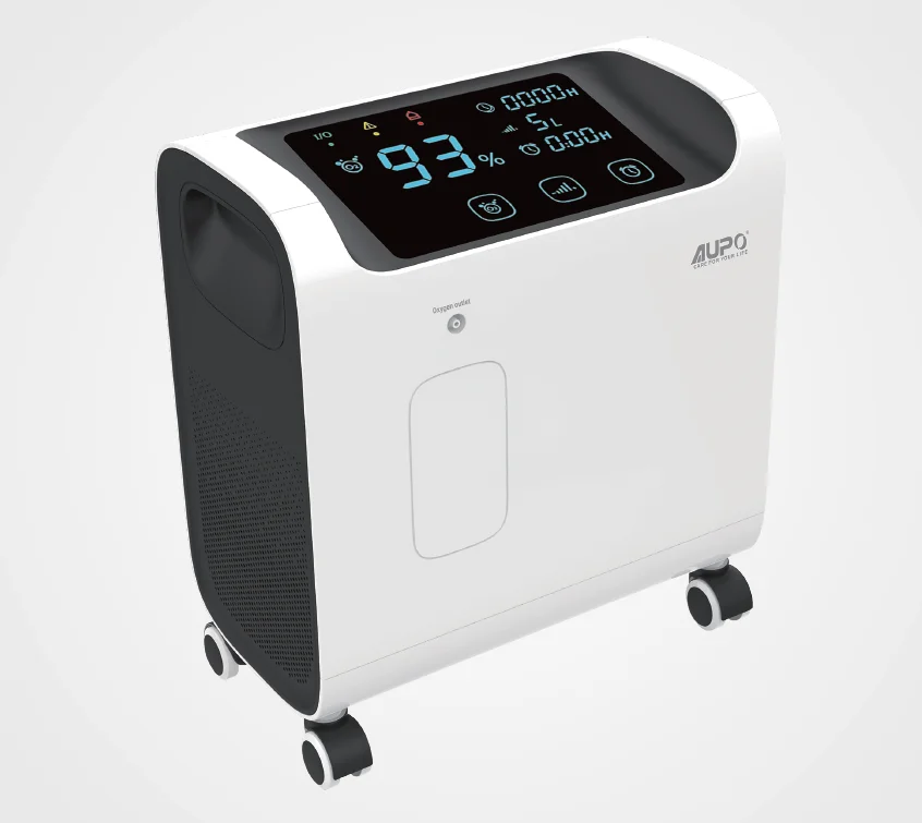 Intake Noise Filter High Control External Easy Mobile Continuous Flow Meter Oxygen Concentrator In Oxygen Concentrator