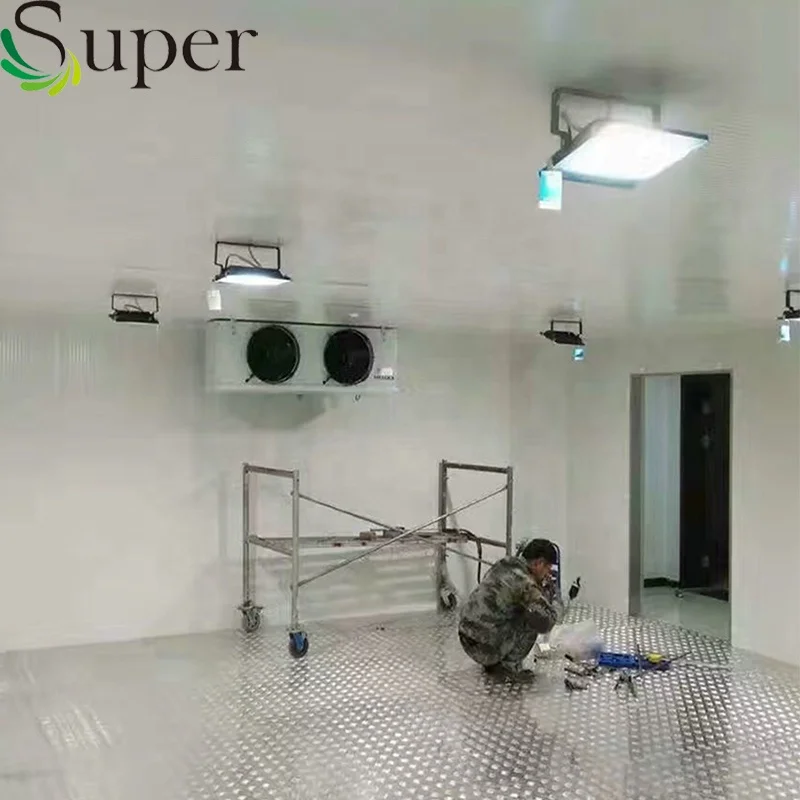 
Hot Sale Steel Structural Cold Room Storage Easy Installation 