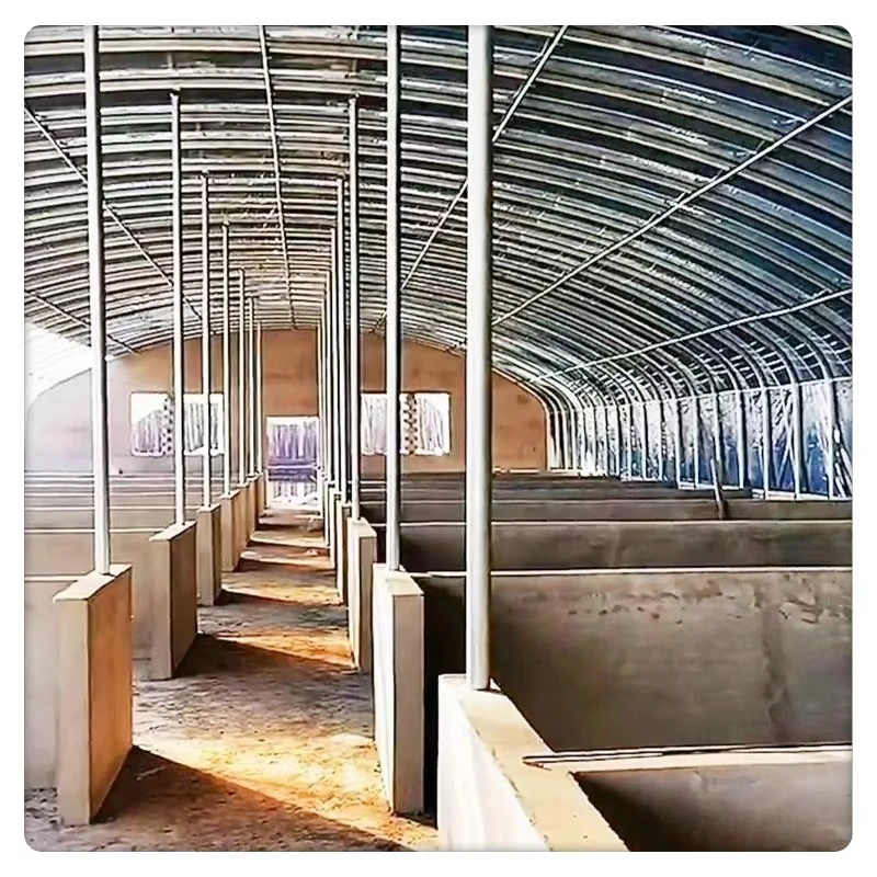 Wholesale Large Indoor Agriculture Greenhouse Square Arch Tunnel for Plant & Animal Breeding Single Layer Film & Steel Material