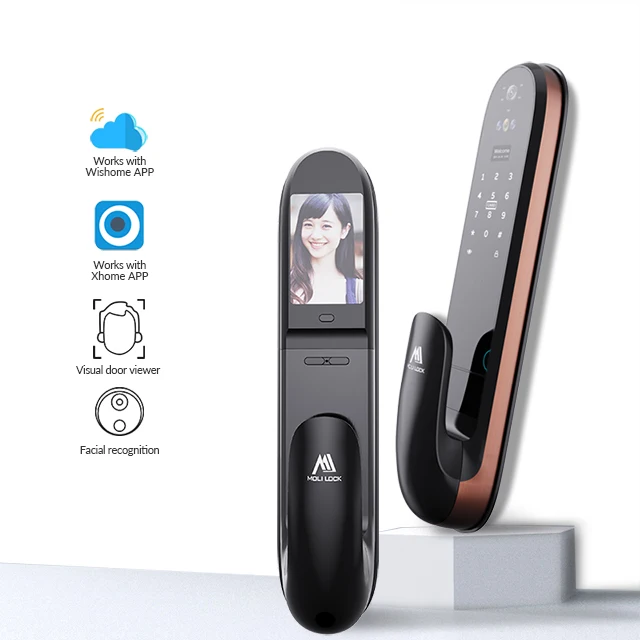 Upscale push APP smart automatic lock body biometric lock fingerprint facial recognition door lock