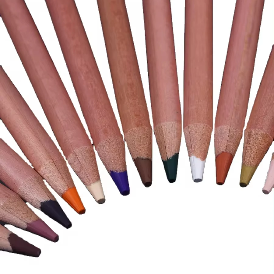 Pastel Pencil Set with Vibrant Color Sketch Charcoal Pencils for Drawing Painting