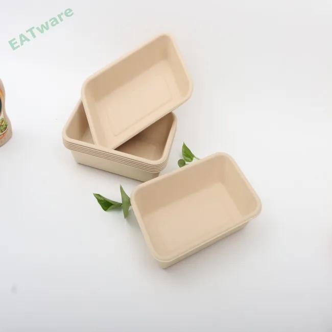 Factory Wholesale Customized Green eco friendly food tray disposable bamboo food tray biodegradable bamboo tray