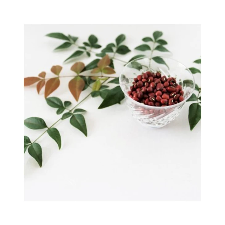 Маленькая круглая красная фасоль для профилактики заболеваний