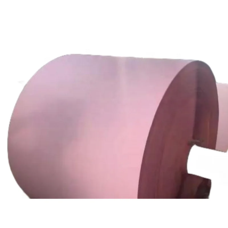 Factory price  Ncr Paper100% Virgin Wood Pulp Black  Image blue image 48-80gsm