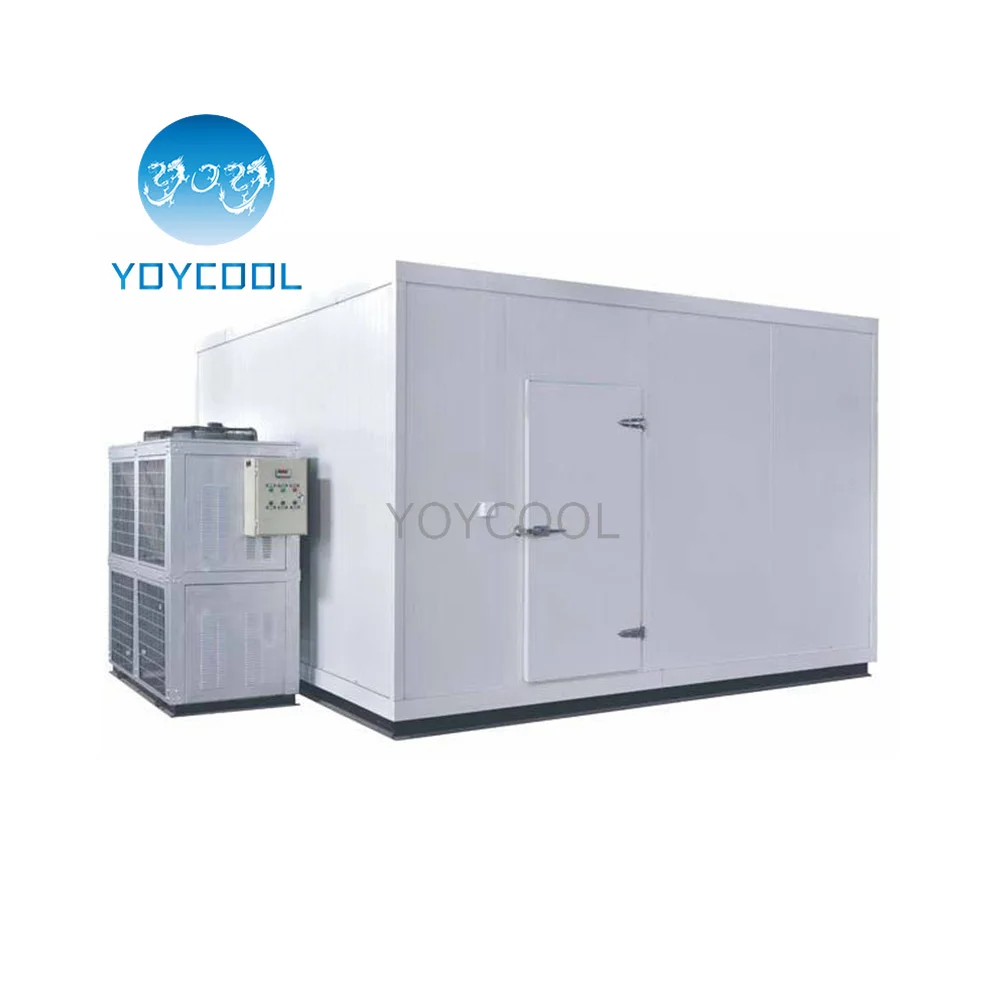 Industrial walk in freezer vegetable chiller cooler cold room