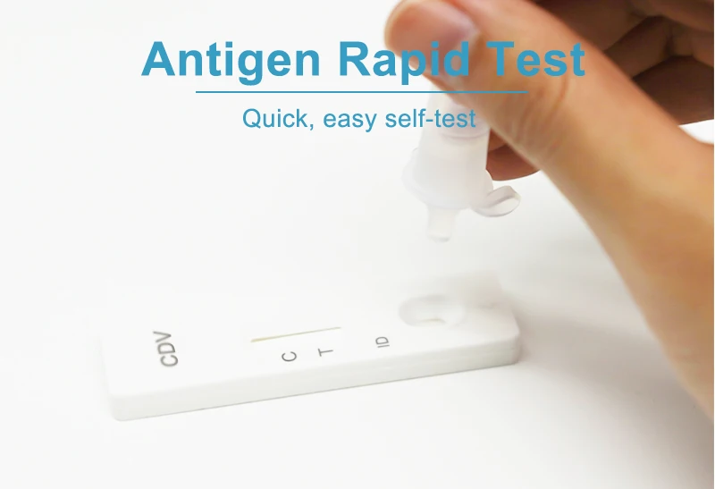 iClean Rapid Antigen Self Home Test Kit Malaria Antigen Swab Testing Nasal Gica Antigen Test Cassette
